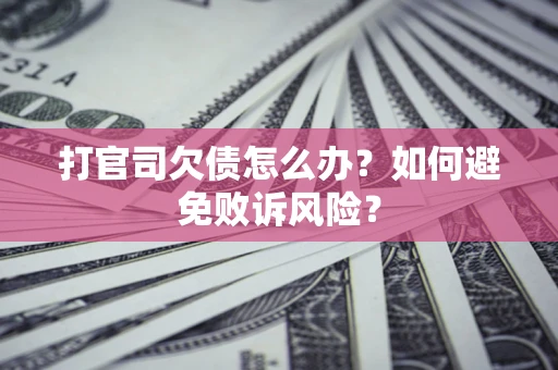 北京打官司欠债怎么办？如何避免败诉风险？