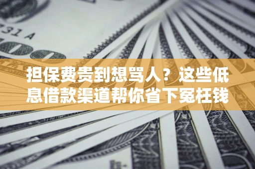 北京担保费贵到想骂人？这些低息借款渠道帮你省下冤枉钱