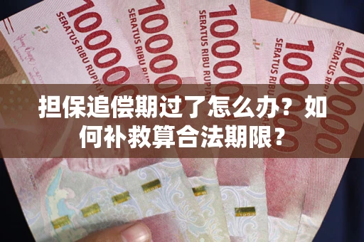 北京担保追偿期过了怎么办？如何补救算合法期限？