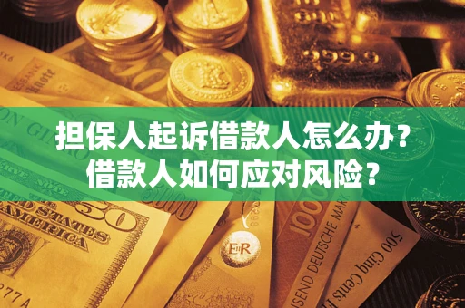 北京担保人起诉借款人怎么办？借款人如何应对风险？