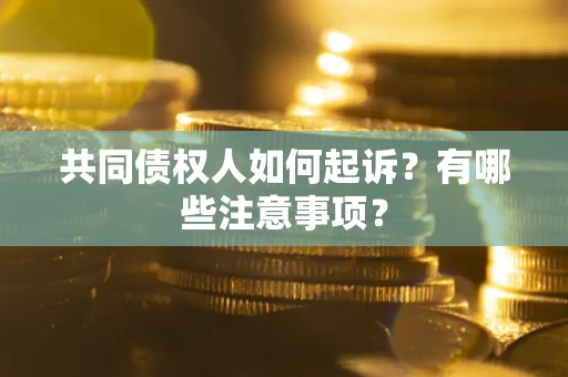 北京共同债权人如何起诉？有哪些注意事项？